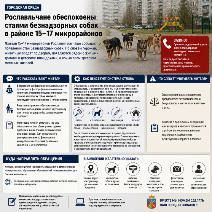 Рославльчане жалуются на стаи безнадзорных собак